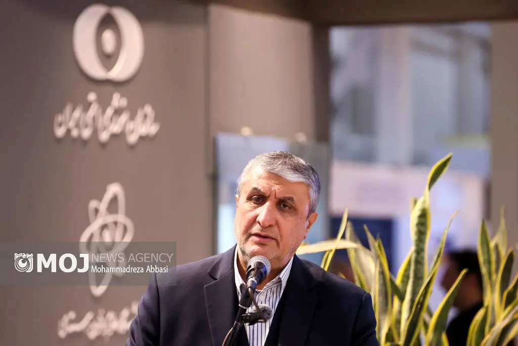 سند راهبردی ۲۰ ساله صنعت هسته‌ای با مشارکت نخبگان تدوین شد