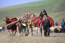 آغاز کوچ ایل های قشقایی و بختیاری به مناطق ییلاقی اصفهان