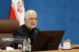 دولت استاندار سفارشی ندارد