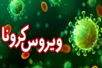 ماهیت دقیق ویروس کرونا در کشور شناسایی شد