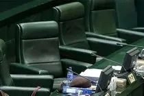 ضرورت پیگیری لایحه خشونت علیه زنان در مجلس آینده/درصد بالایی از بذرهای ما  تراریختی با عنوان"به نژادی" هستند