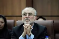 پیام تسلیت صالحی در پی درگذشت سید رضا نیری
