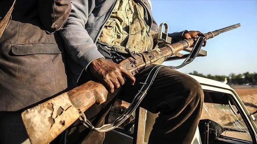 کشته شدن دست کم 20 غیرنظامی بر اثر حملات تروریستی در نیجر